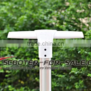Big Discount 2 Wheel Electric Standing Scooter / Mobility Scooter / Electric Chariot thumbnail-5