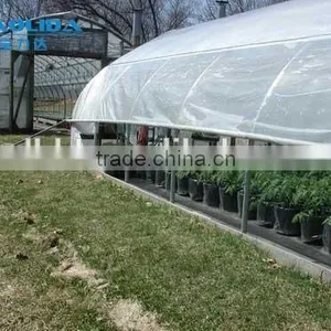 Plastic Film Covered Economic Tunnel Greenhouse For Agricultural Planting thumbnail-5