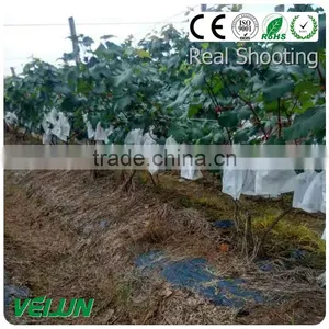 Nonwoven Lining for Shoes Nonwoven Lining thumbnail-1