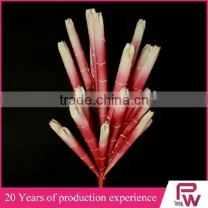 Succulent Plants Tropical Plants Artificial Plants Succulent Plants thumbnail-4