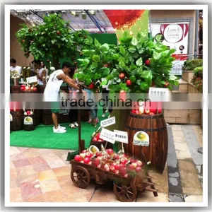 CHINA Manufactorturers Supplying High Quatily Apple Christmas Tree Ornaments Apple Tree thumbnail-1