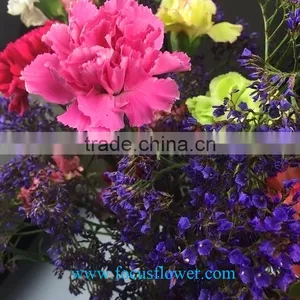 High Quality Service Exalted Cut Fresh Pink Carnation Flowers Flower Growers Directly Supply From China thumbnail-4
