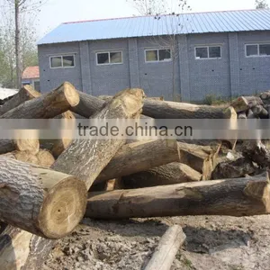 Paulownia Boards , Paulownia FJ Board thumbnail-5