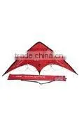 Sports Kite thumbnail-1