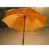 Sell Double-Layer Golf Umbrella thumbnail-1