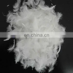 High Quality White Duck Feather thumbnail-1