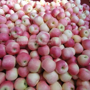 Chinese Gala Apple thumbnail-2