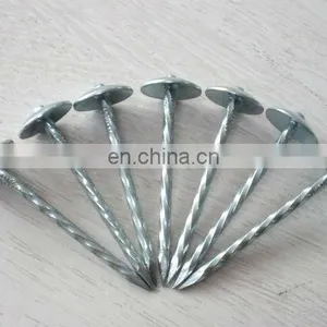 Steel Twisted Shank Roofing Nail thumbnail-1