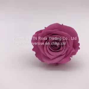 Preserved Rose Flowers for Wedding Decoration Flower Arrangement thumbnail-1