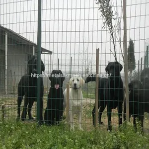 Grazing Fence/plain Farming Network/Holland Wire Mesh thumbnail-4