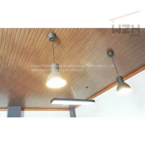Luxury Modular Flat Pack Container Office Buildings With Toilet Bathroom Office New Design Shipping Container Showroom thumbnail-2