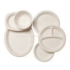 Disposable Sugarcane Tableware Compostable Plates Bagasse Paper Plate Bagasse Bamboo thumbnail-1