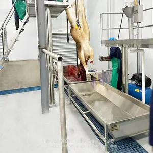 Specially Customized Bull Butcher Machine Blood Trough For Cow Slaughter House thumbnail-1