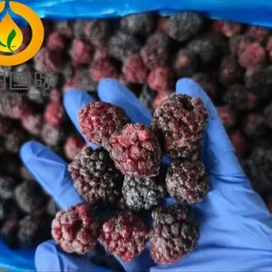 New Crop High Quality IQF Freeze Frozen Blackberry thumbnail-2