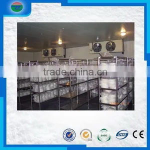 China Manufacture High Quality Cold Storage/cold Room for Chicken thumbnail-5