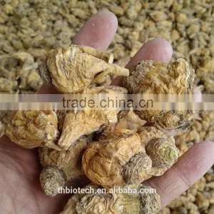 Manufacturer Pure Natural High Quality Maca Root Powder thumbnail-5
