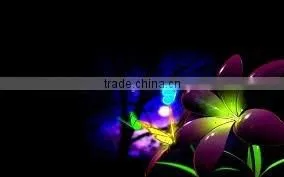 Anime Creator thumbnail-1