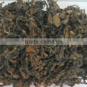 DRIED GACILARIA SEAWEED-BEST DRYNESS thumbnail-1