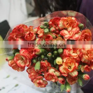 Elegant in Smell Hot Sale Fresh Carnation for Home Decoration thumbnail-1