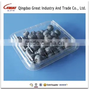 Good Quality Disposable Plastic Blueberry Fruit Packaging Container 125Gram thumbnail-2