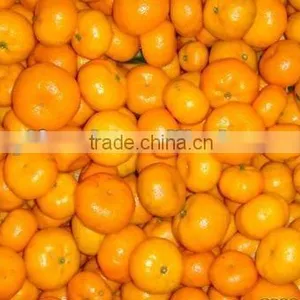 Satsuma Mandarin thumbnail-1