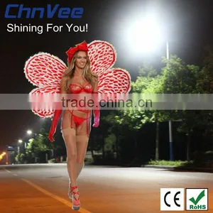 60w 130-140lm/w Led Solar Street Light Optional AC DC Voltage With CE and ROHS thumbnail-1