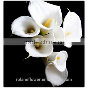 Wedding Decoration Flower White Calla Lily Flower thumbnail-3