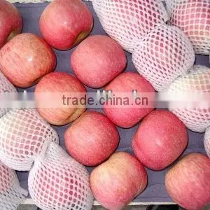 Bulk Fresh Fuji Apple thumbnail-1
