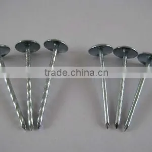 High Quality Galvanized Roofing Nails thumbnail-1