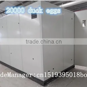3 Year Warranty Automatic 30000 Poultry Chicken Egg Incubator for Sale Philippines thumbnail-4