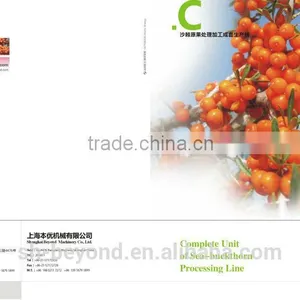 Sea Buckthorn Fruit Juice Processing Line thumbnail-1