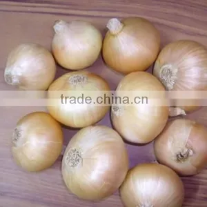 Yellow Onion thumbnail-2