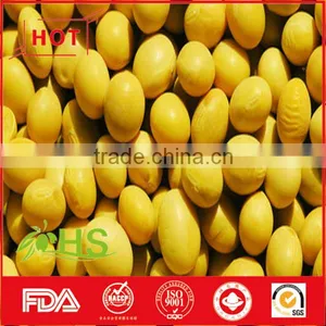 Chinese Dried Cheap Soybeans for Wholesale thumbnail-3