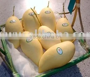 Mango thumbnail-1