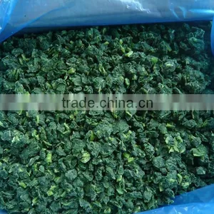 IQF Fresh Spinach thumbnail-1