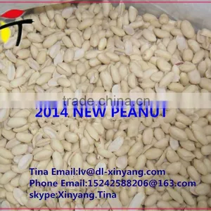New Crop Chinese Long Type Blanched Peanut Kernel/2014 Blanched Peanuts 25/29/blanched Peanut Kernel(long & Round) thumbnail-2