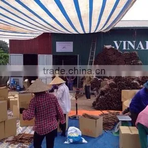 VIETNAM SPLIT CASSIA WITH BEST PRICE, HIGHT QUALITY thumbnail-6