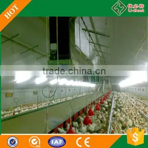 Female and Male Chick Automatic Breeder Poultry House for Floor Breeding thumbnail-1