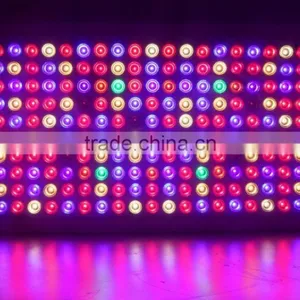 2016 Hot-selling LED Grow Light 1000w Full Spectrum for Greenhouse and Indoor Plant Flowering Growing (Red Blue UV IR) thumbnail-2