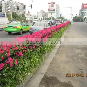 SOL 2015 Jydroponics Green Area Planter Fence Green Planter Double-side Pot thumbnail-4
