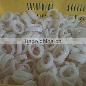 2016 Supply Fresh Frozen High Quality Squid Rings From China thumbnail-3