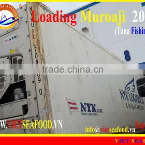 LOADING MUROAJI FOR TUNA BAIT thumbnail-1