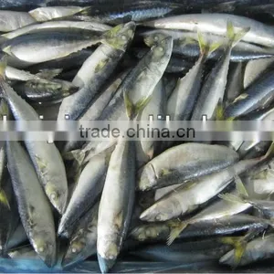 100-120g Landfrozen Frozen Mackerel thumbnail-1