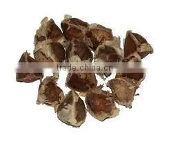 Moringa Olifera Seeds thumbnail-3