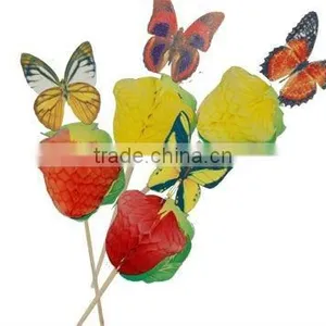 MM6062 Butterfly Picks thumbnail-1