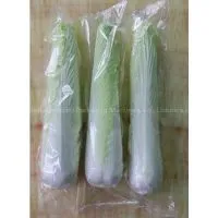 Vegetable Packaging Machine/ Cabbage Wrapper Machine thumbnail-3