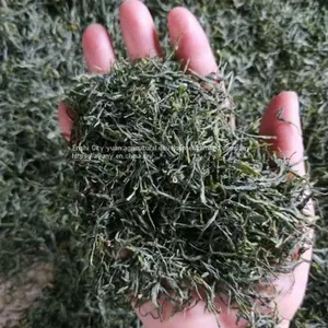 China's Advanced Green Tea Enshi Selenium Rich Longjing Tea Healthy Weight Loss TeaSelenium-rich Longjing TeaEnshi Longjing TeaSelenium Tea thumbnail-3