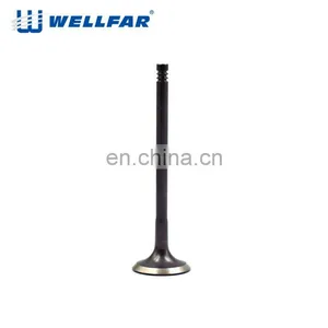 European Vehicle Top Quality Car Intake Engine Valve for Passat b5 1.8T thumbnail-4