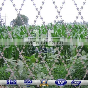 Hot Dipped Galvanized Welded Flat Razor Wire Fence thumbnail-1
