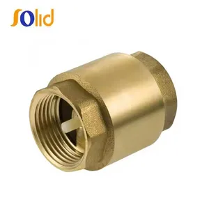 Brass Spring Non Return Check Valve thumbnail-1
